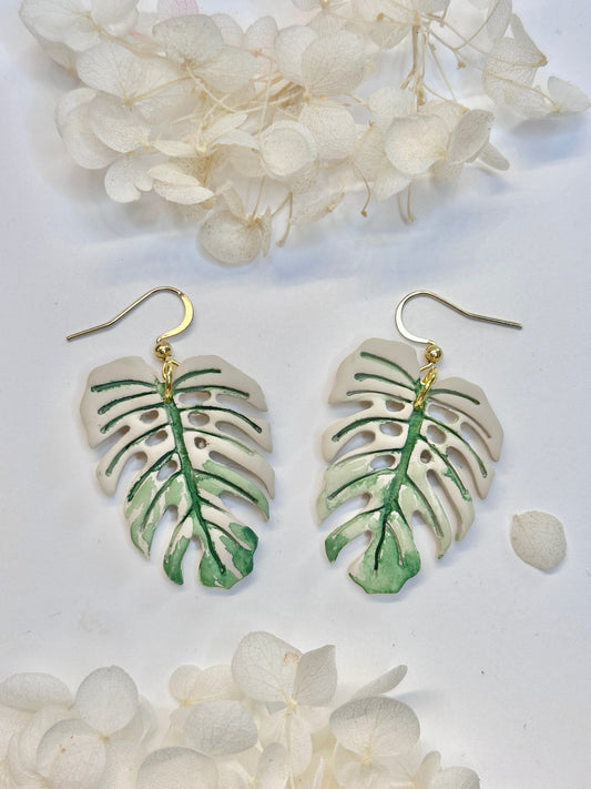 Monstera White Devil